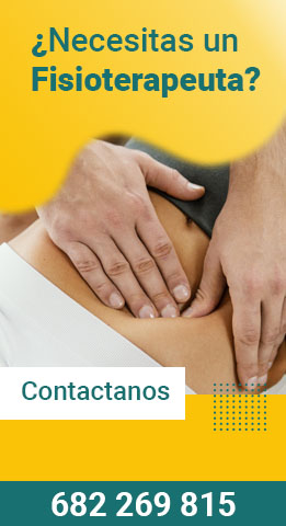 Banner fisioterapia